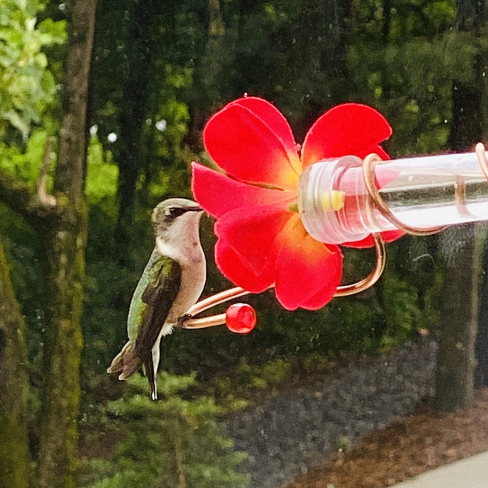 Enhance Your Garden with the Pet Flower Design Hanging Bird Feeder Tube