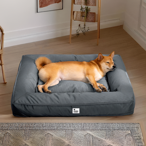 How to Choose the Perfect Pet Bed